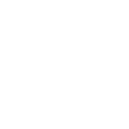 Economics Icon